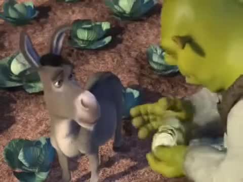Still frame from shrek oignon — a 1m 25s clip marked up for dubbing