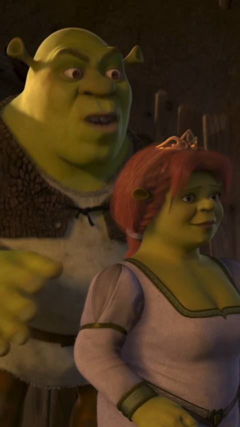 Still frame from eşşek shrek — a 20s clip marked up for dubbing